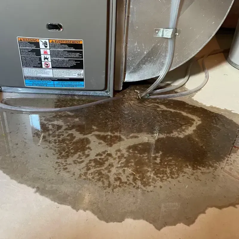 Appliance Leak Cleanup in Canal Fulton, OH